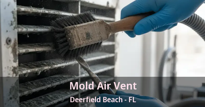 Mold Air Vent Deerfield Beach - FL