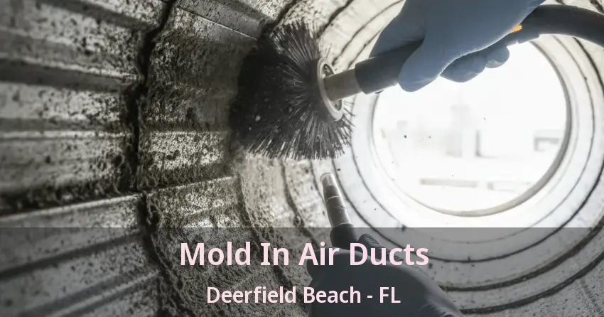 Mold In Air Ducts Deerfield Beach - FL