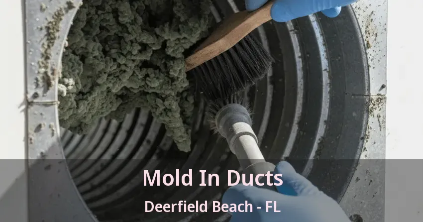 Mold In Ducts Deerfield Beach - FL