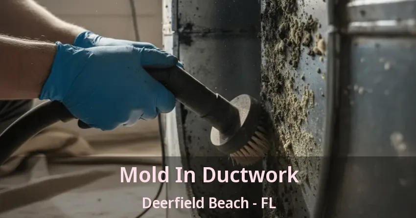 Mold In Ductwork Deerfield Beach - FL