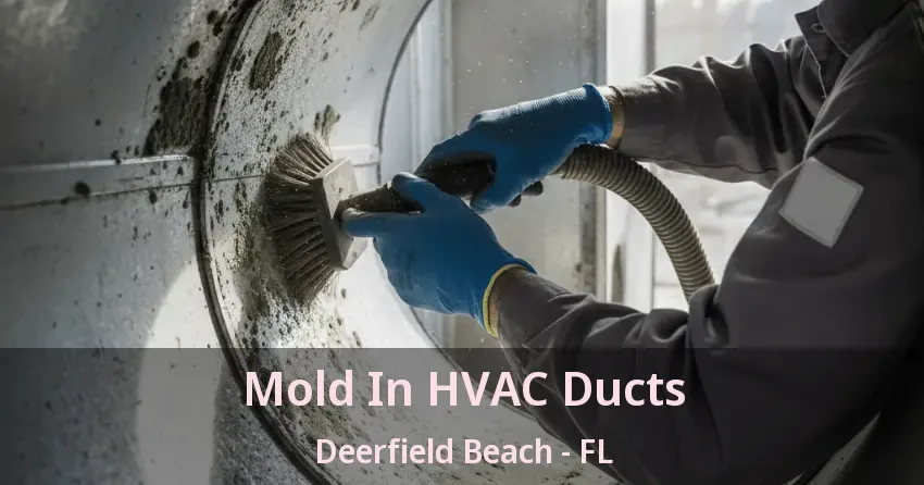 Mold In HVAC Ducts Deerfield Beach - FL Mold In HVAC Ducts Deerfield Beach - FL