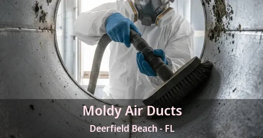 Moldy Air Ducts Deerfield Beach - FL
